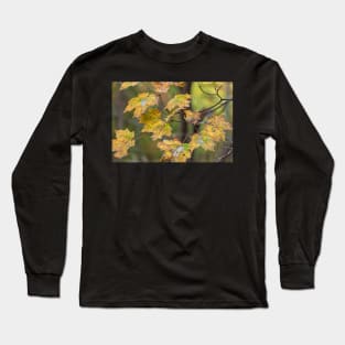 Maple Leaves Long Sleeve T-Shirt